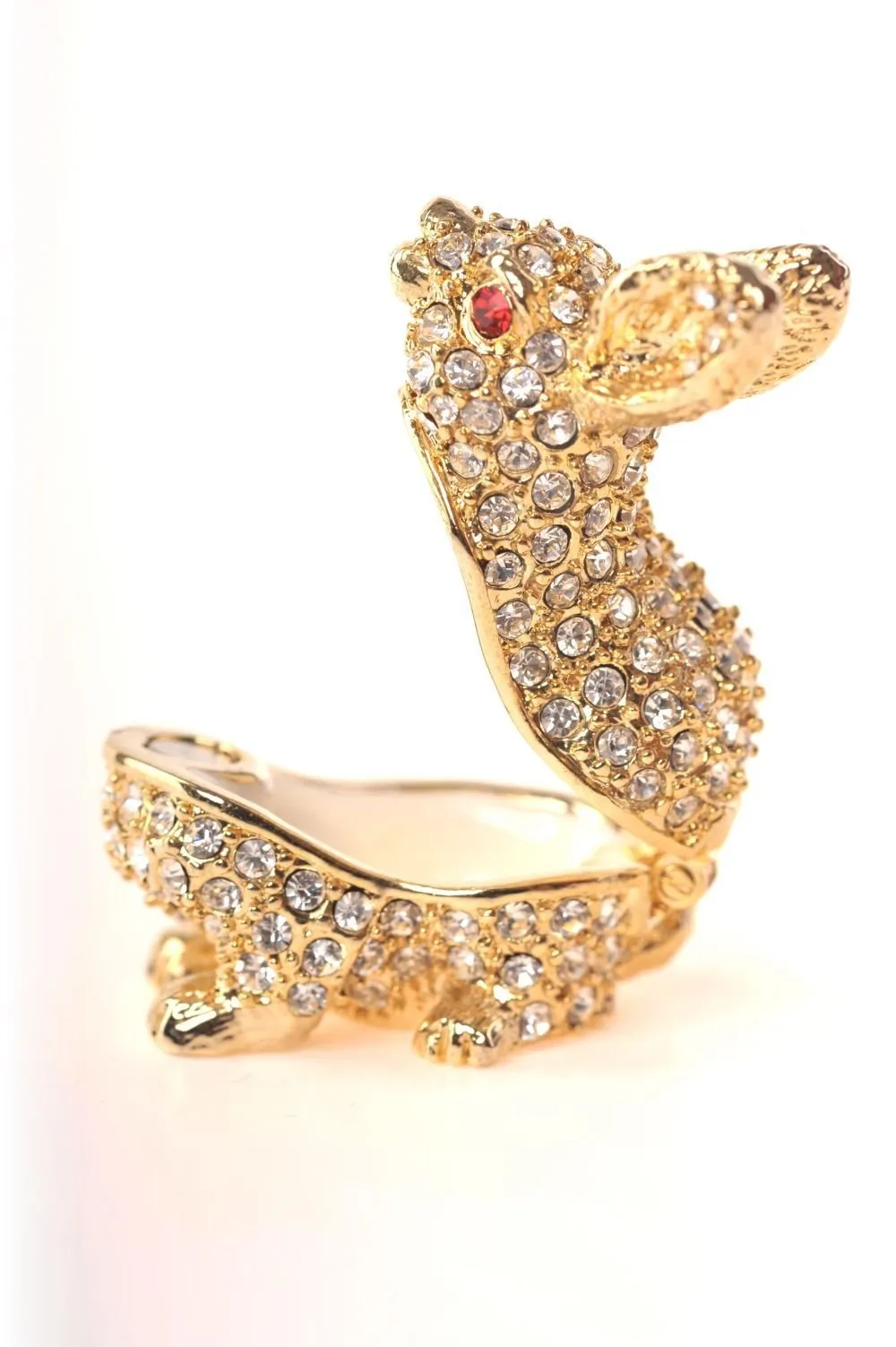 Golden Rabbit with Red Eyes